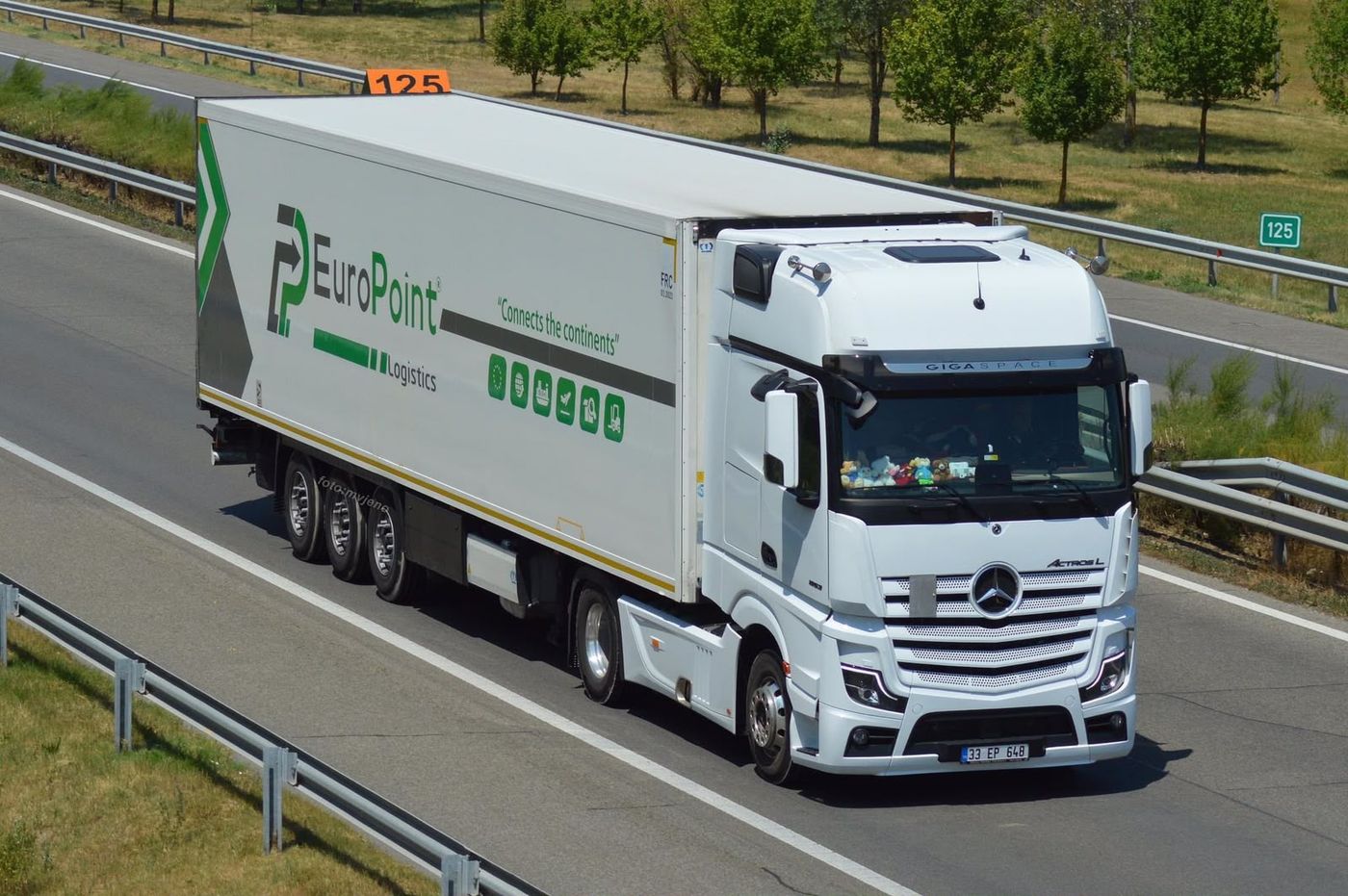 EuroPoint karayolu taşımacılığı — otoyolda frigorifik tır